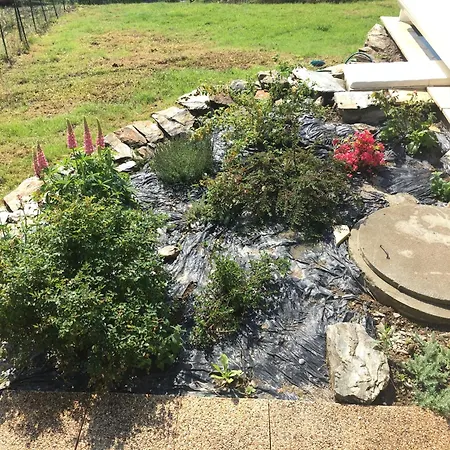 Secadou Castanial Ferienhaus